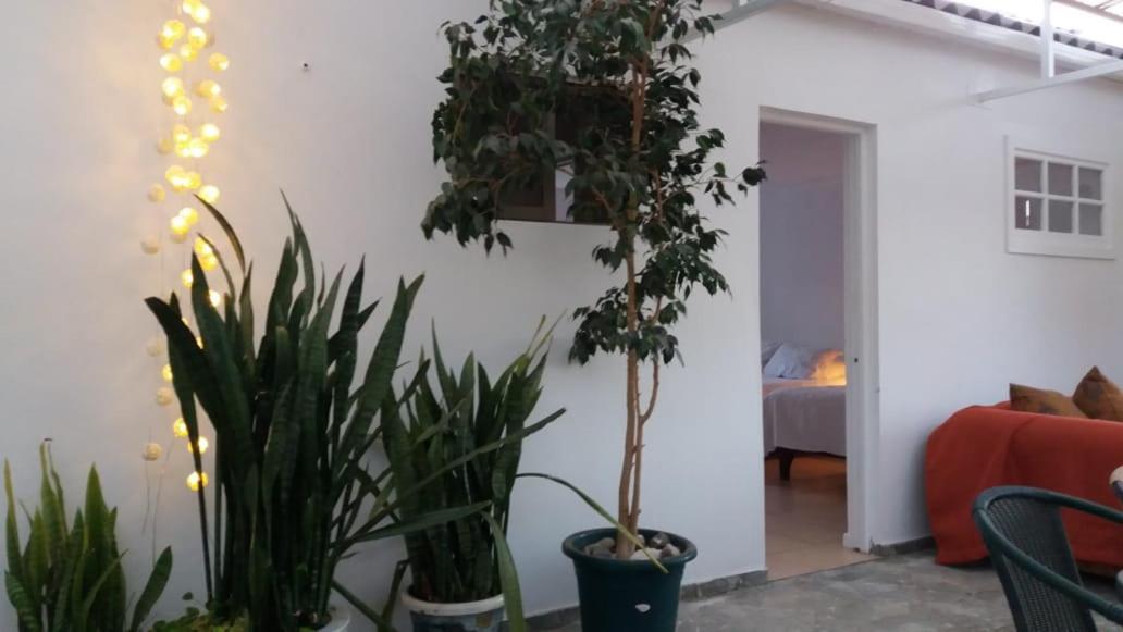 Hostal Casa 95 บิกุญญา ภายนอก รูปภาพ